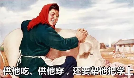 当妈后,我重新接受了九年义务教育