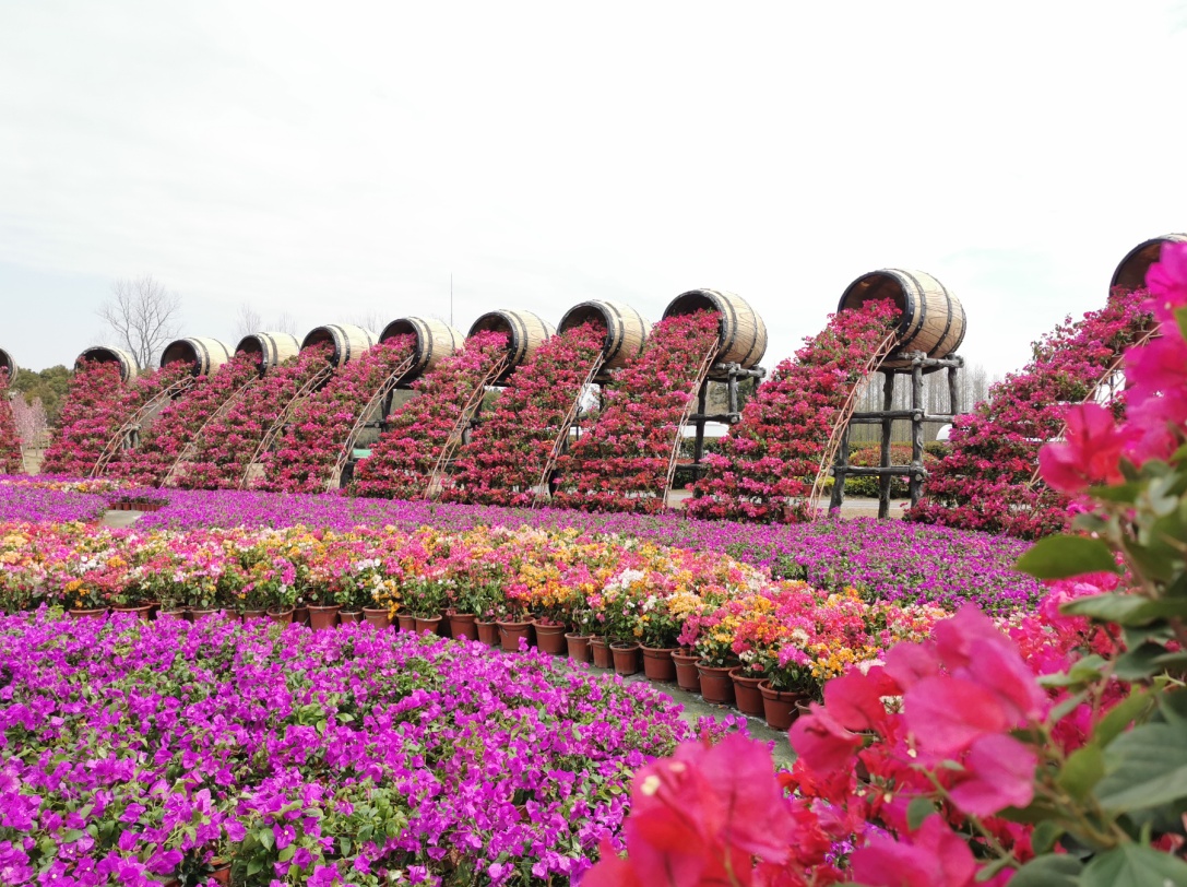 2021年崇明花朝节今天启幕