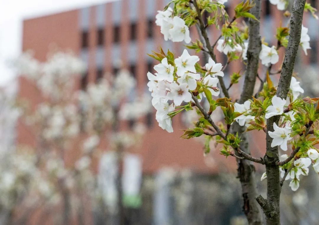复旦大学上海医学院