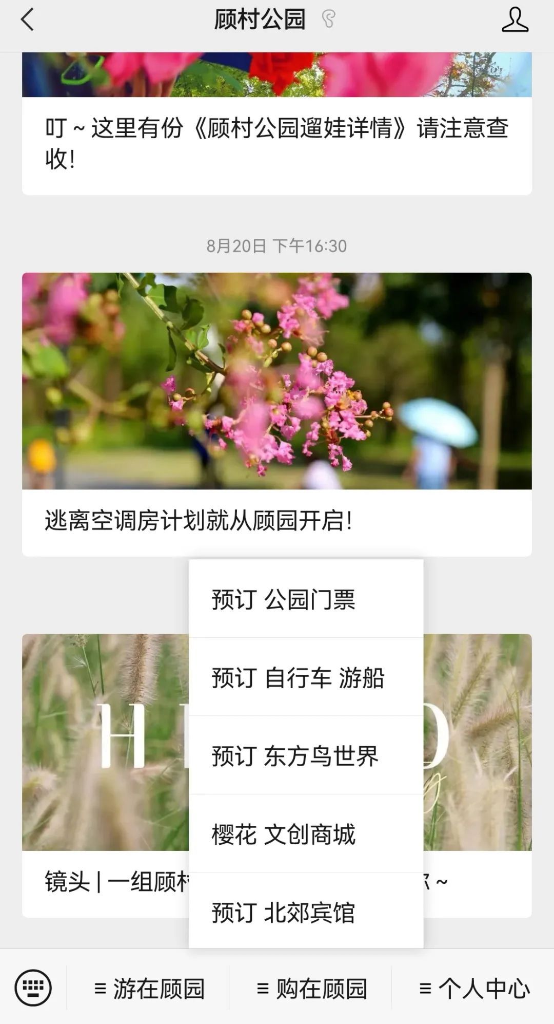 如何选择适合自己的伴游项目？4个问题解锁伴游之谜