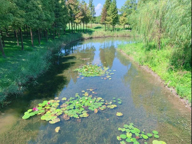 宝山这条河湖入选全国美丽河湖优秀案例!