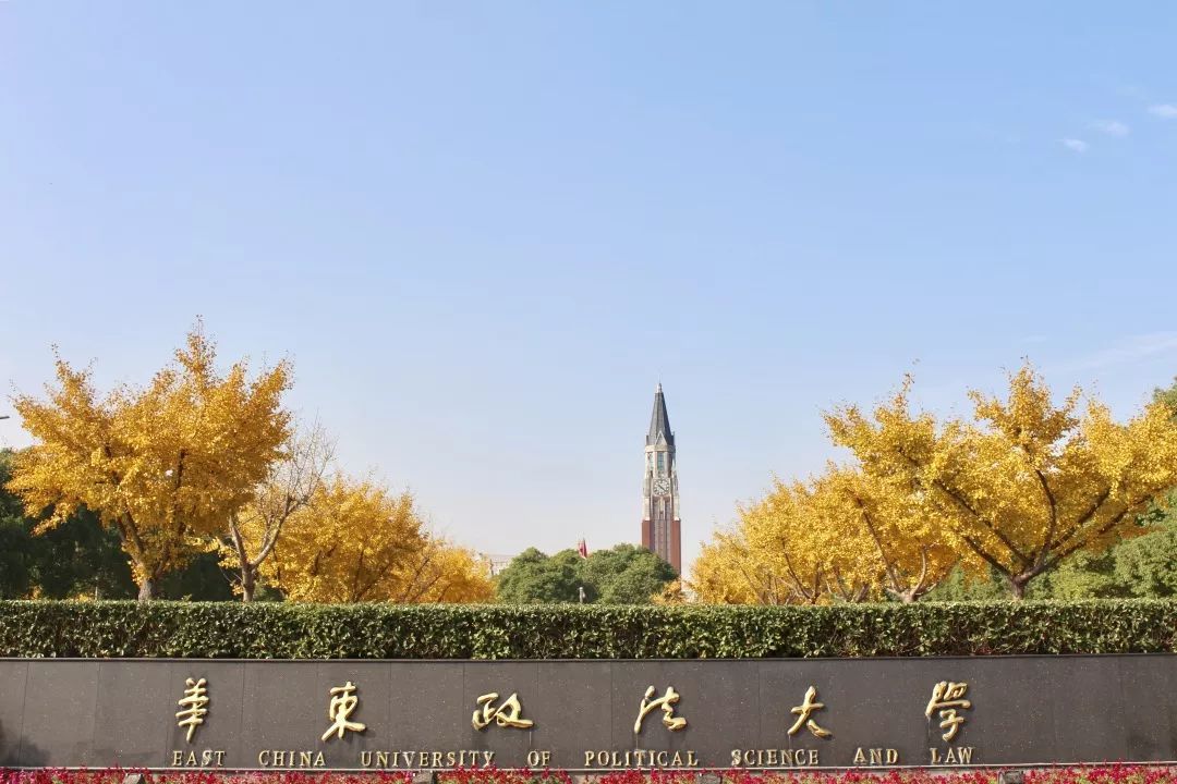 松江七校的秋景大赏!哪个最让你惊艳?