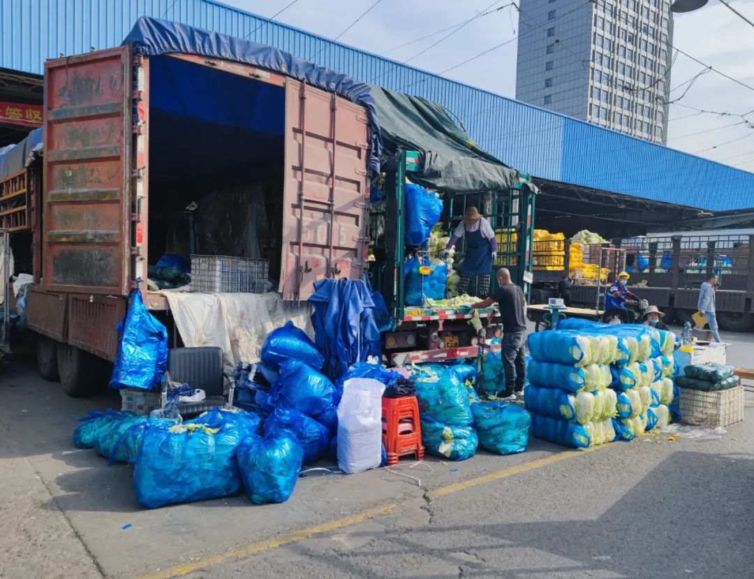 "菜比肉贵"?江桥批发市场多渠道拓宽货源稳菜价