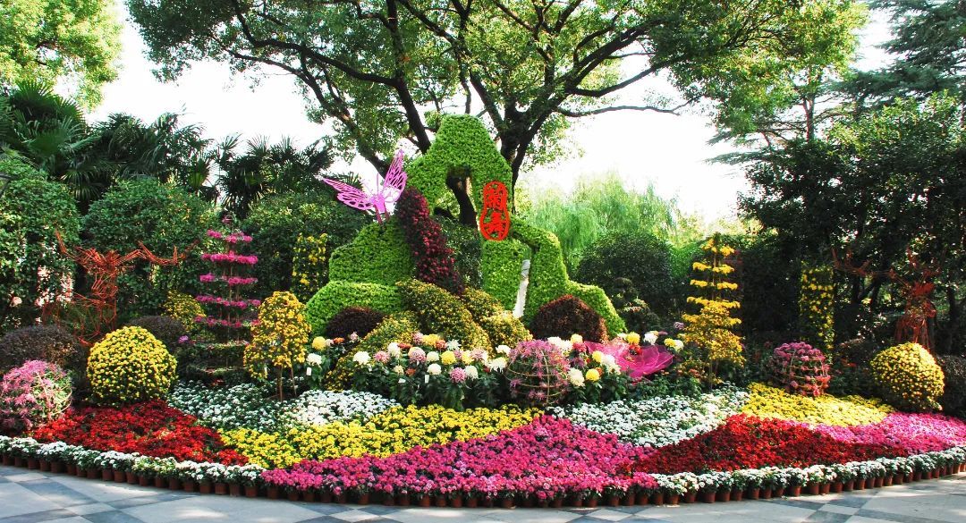 15000盆品种菊在这里展出,2021宜川公园菊花展约吗?