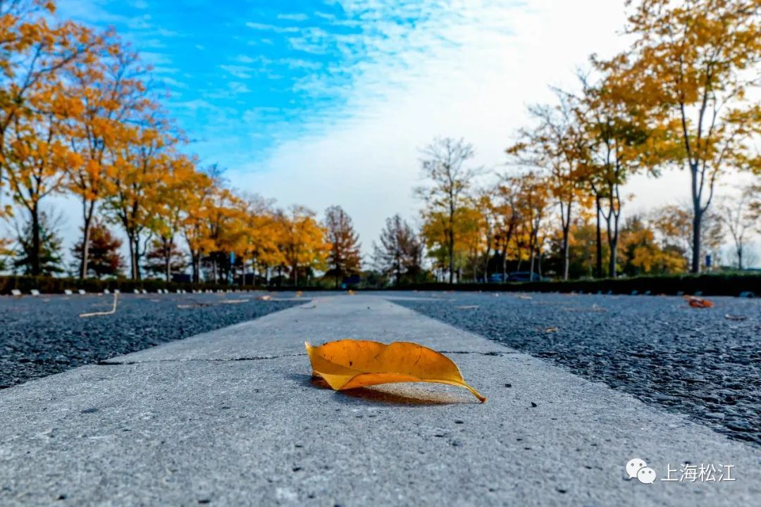 出入口的这条小道靠近湖畔 水天交映,仿佛天地相连 风吹过水面泛起