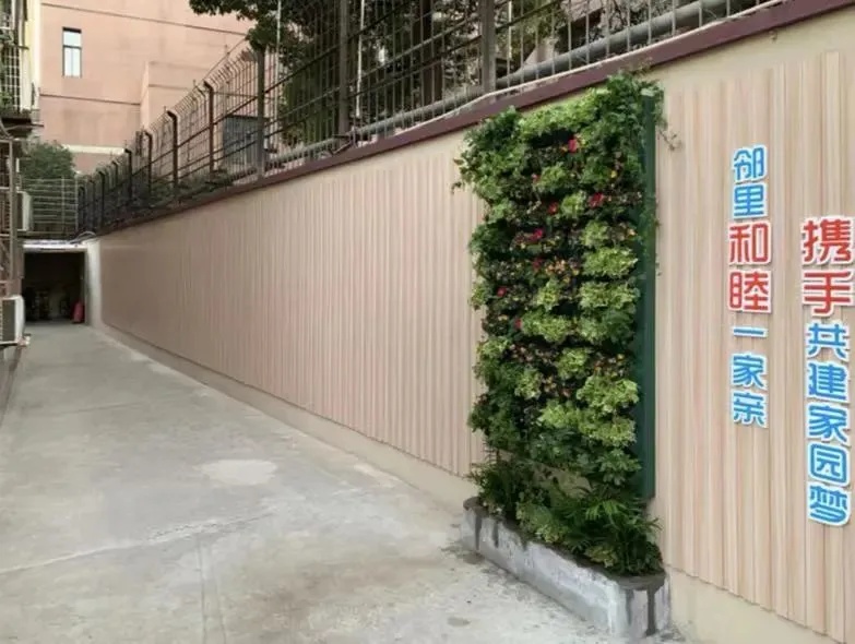 小区环境 墙面改造后