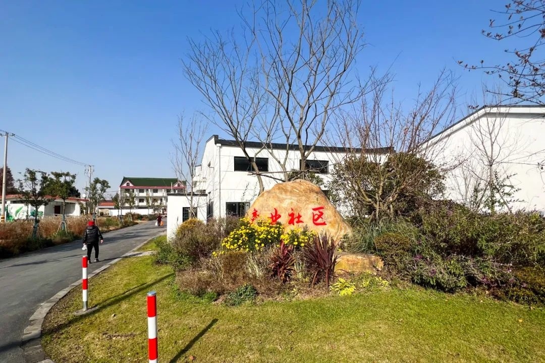 来金山张堰百家村开启你的冬日游玩之旅吧