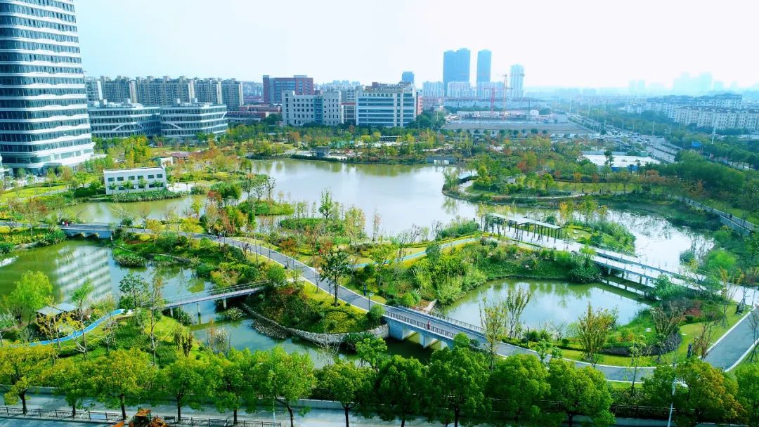 闵行文化公园先行先试拆墙透绿全区还要建30座微型公园12个美丽街区