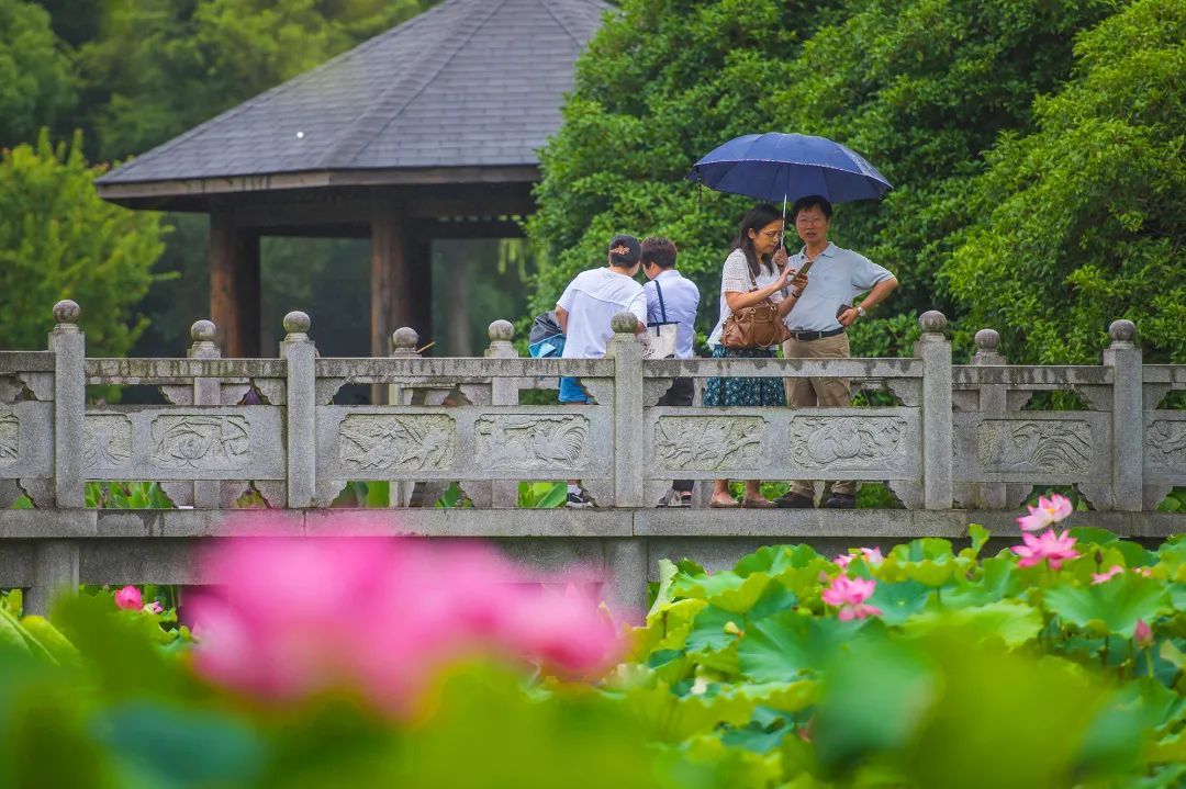 丁宝玉,蒋翠娣凌龙福陈宇青周景芳黄婕许本燮万海民胡齐鸣周鸿祥王