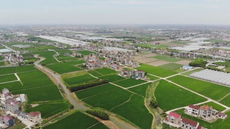 泥城镇公平村:因地制宜创特色 从薄弱村变身乡村振兴示范村