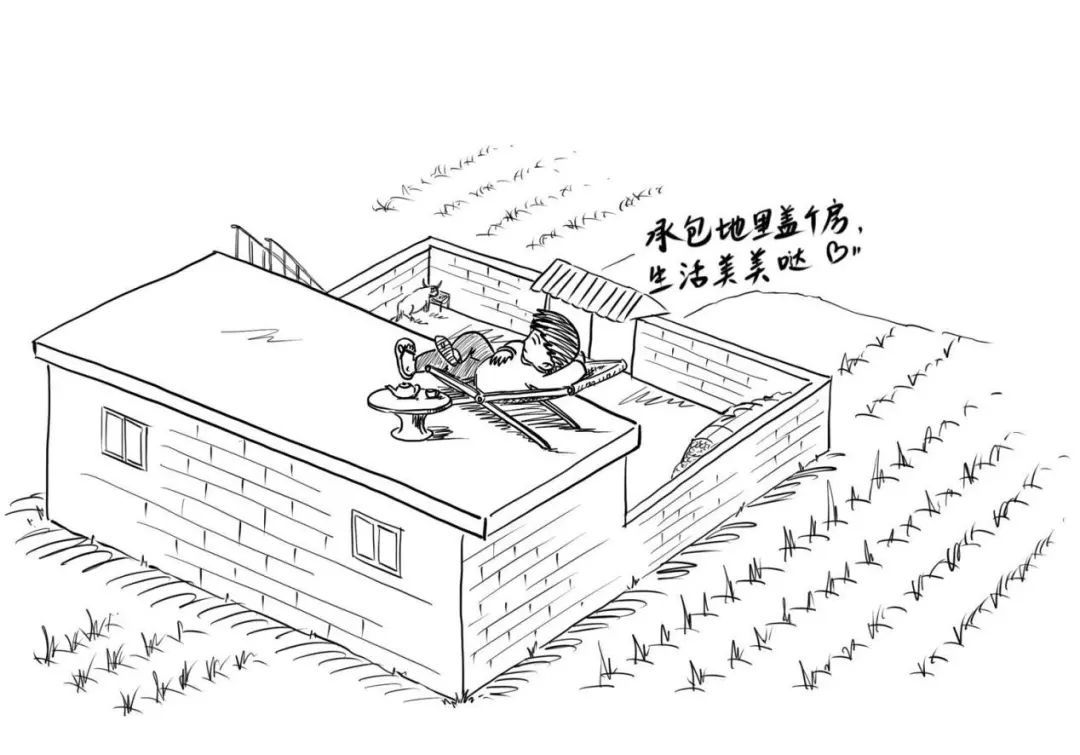 【耕地】漫画"八不准" | ④不准在承包耕地上违法建房