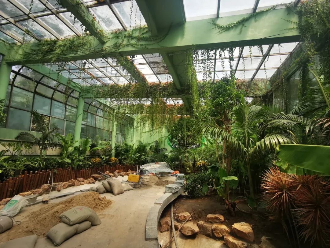 前期设计工作启动!上海动物园将再添一座两栖爬行馆