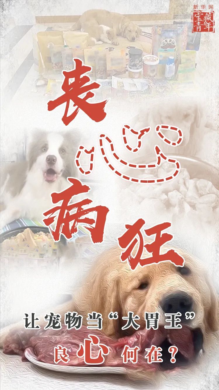 一次吃100种零食,强迫吃辣椒!网友怒了:良心何在?