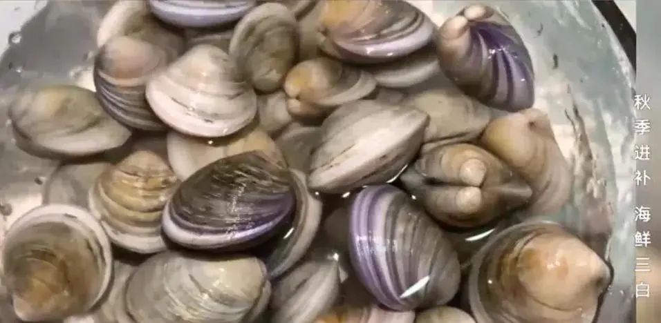 如何放心吃海鲜?这份攻略请收好