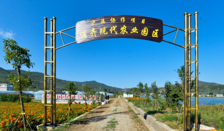 你以为大理只有苍山,洱海?这里还有柠檬,葡萄,花卉,茶叶.