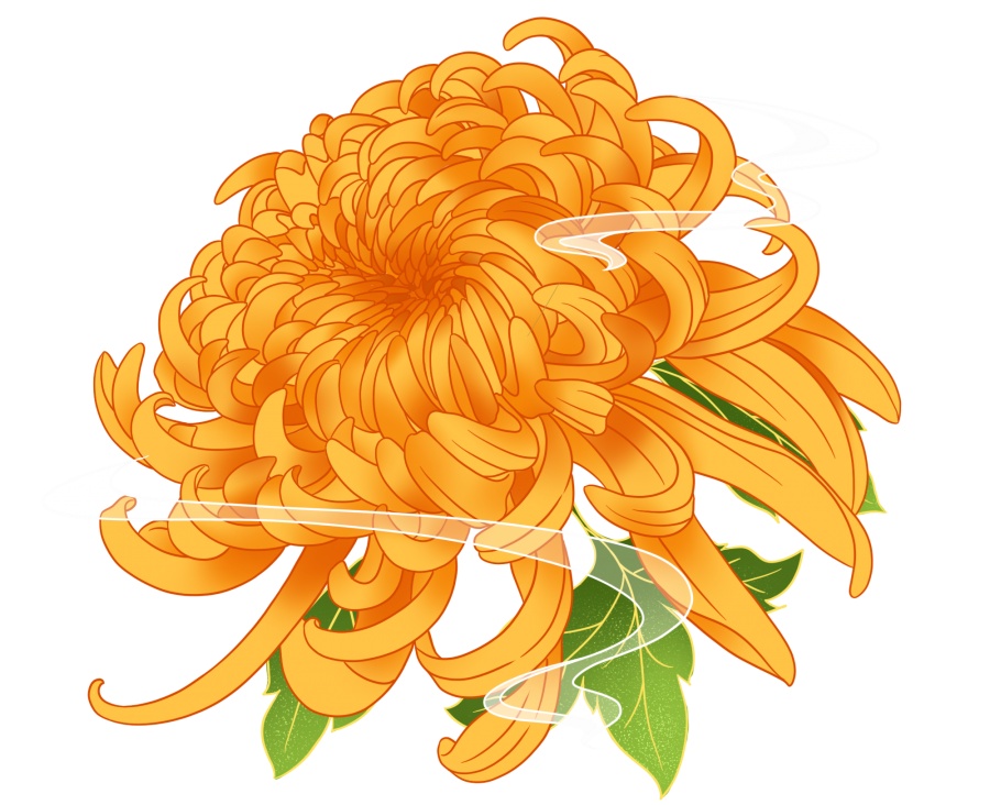 普陀菊花展今起惊艳亮相,今年最有看头的是