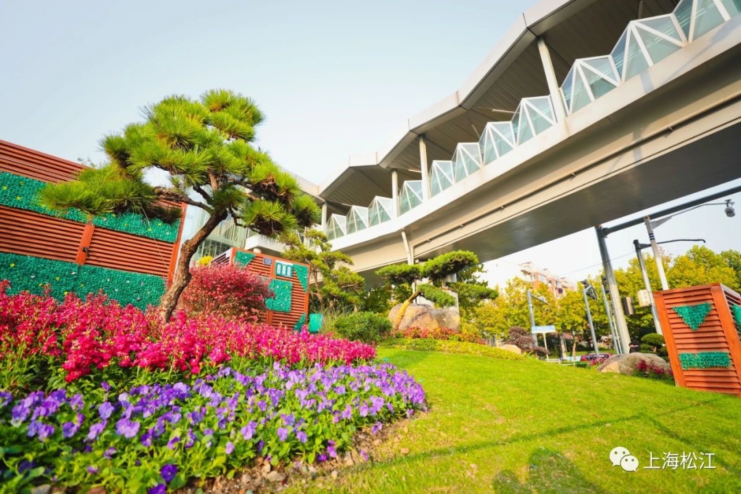 松江街头添新景这些立体绿雕景观小品全新亮相