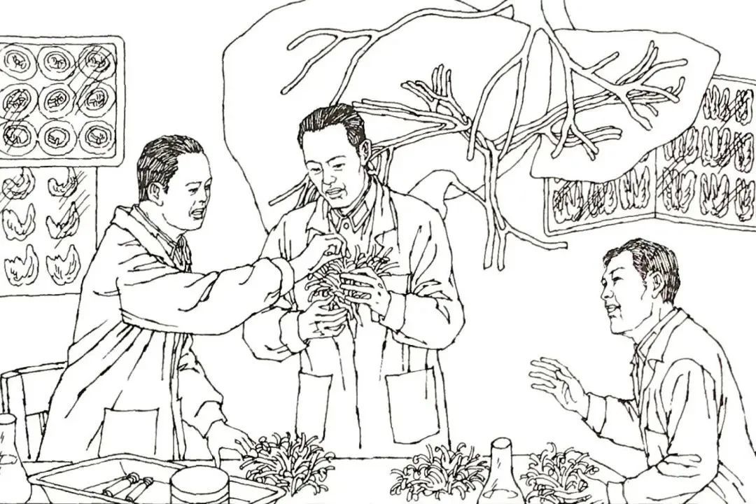 "画"说吴孟超(上)