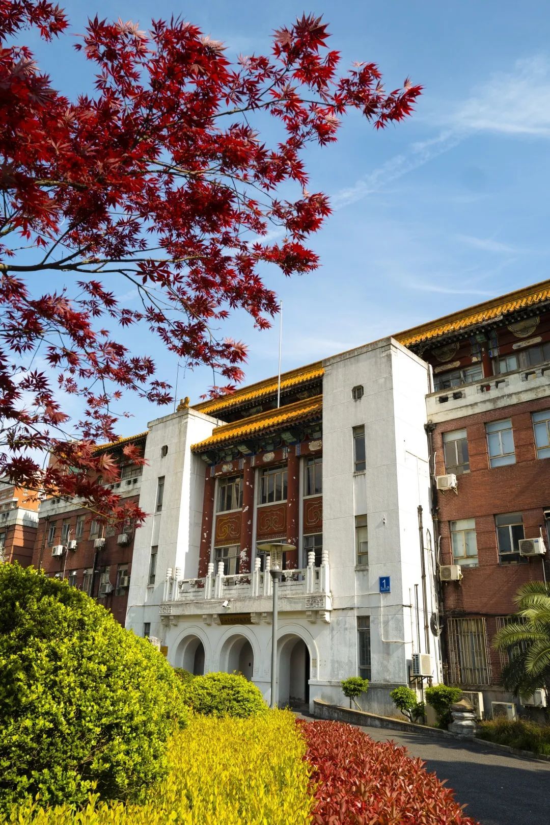 你母校的枫树长得如何了上海35所高校的红叶美图来啦