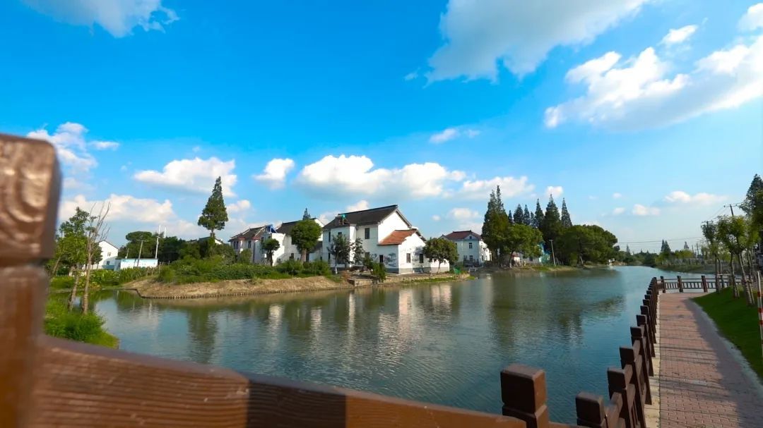 白鹤镇红旗村:一眼就心动,这个村庄美"出圈"