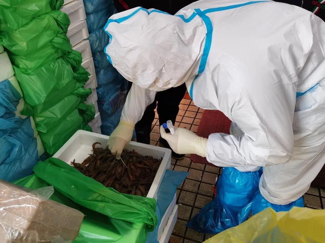抗寒潮,阻疫情,环境监测采样助力食品安全