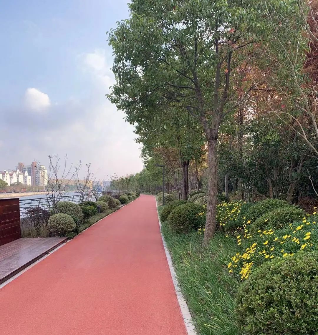 2公里的苏州河岸线,小编带你打卡这条大"珍珠"项链沿线的亮点景致