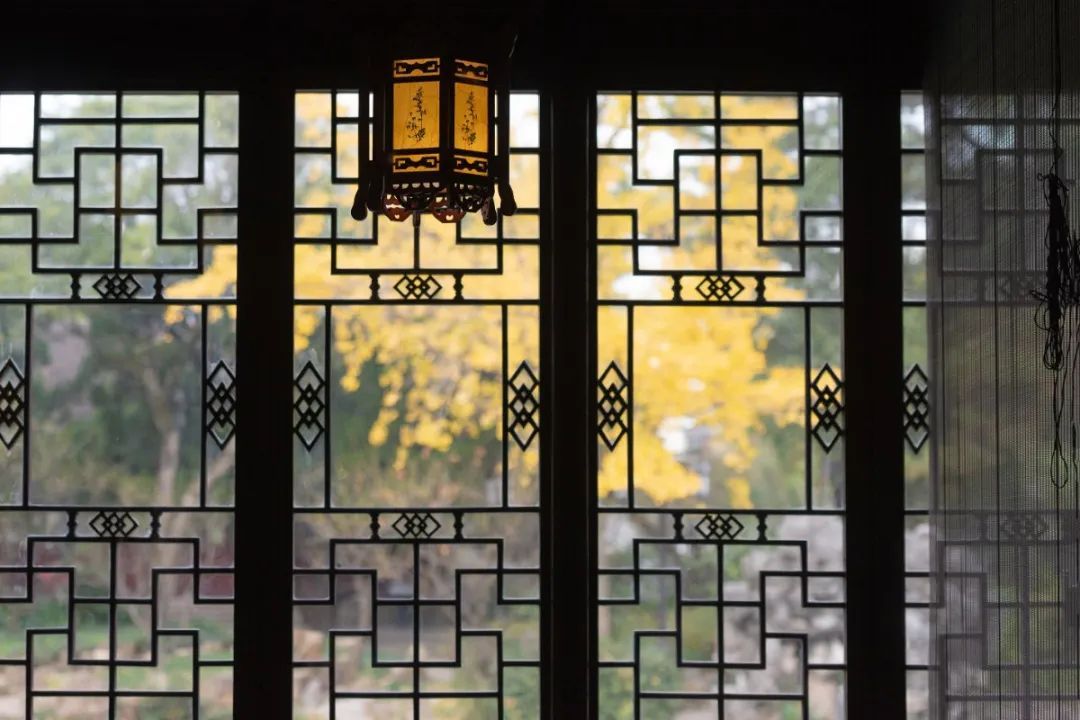 亦窗亦景,探寻沪上古典园林的花窗之美