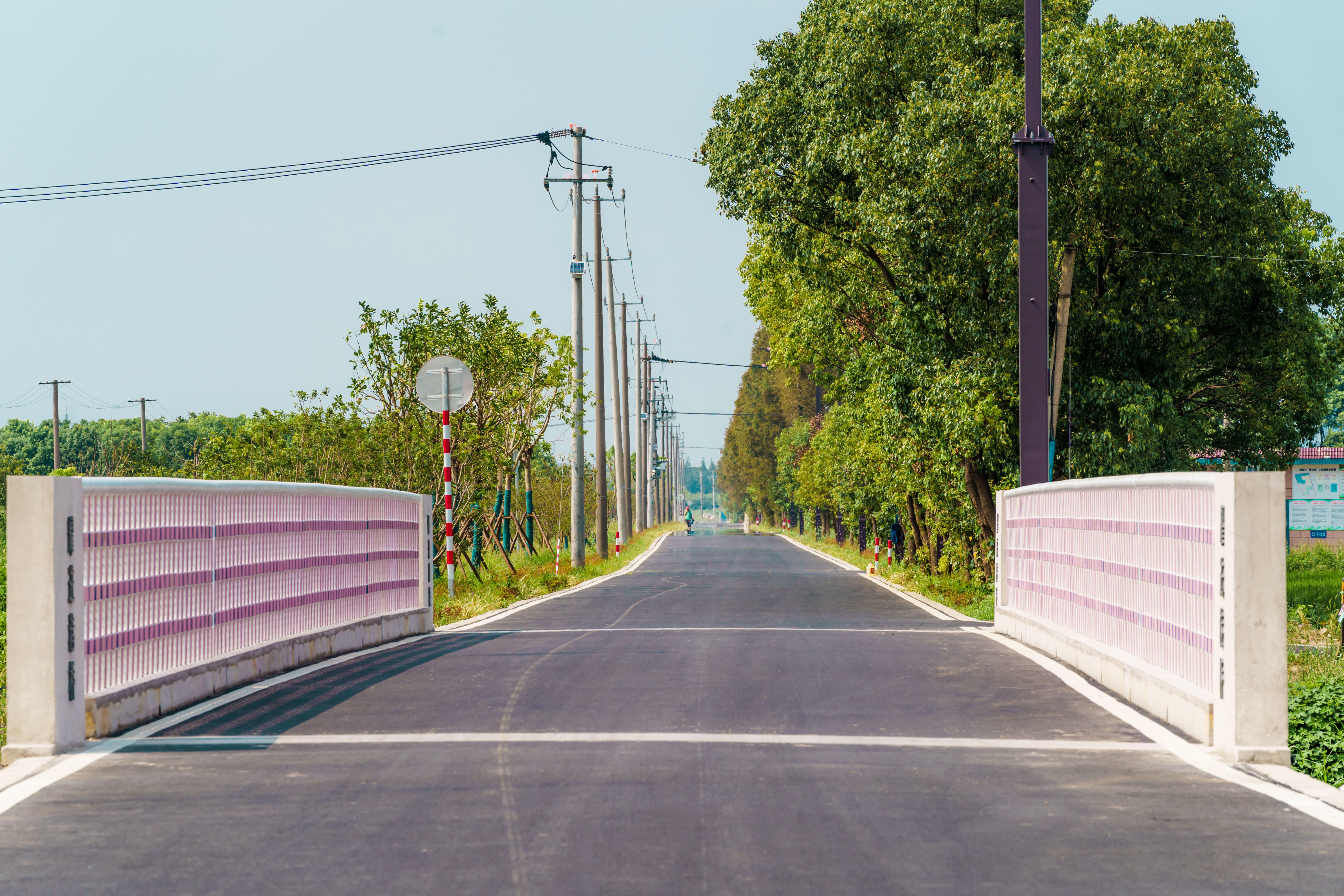 畅通道路毛细血管 "四好农村路"助力奉贤乡村振兴