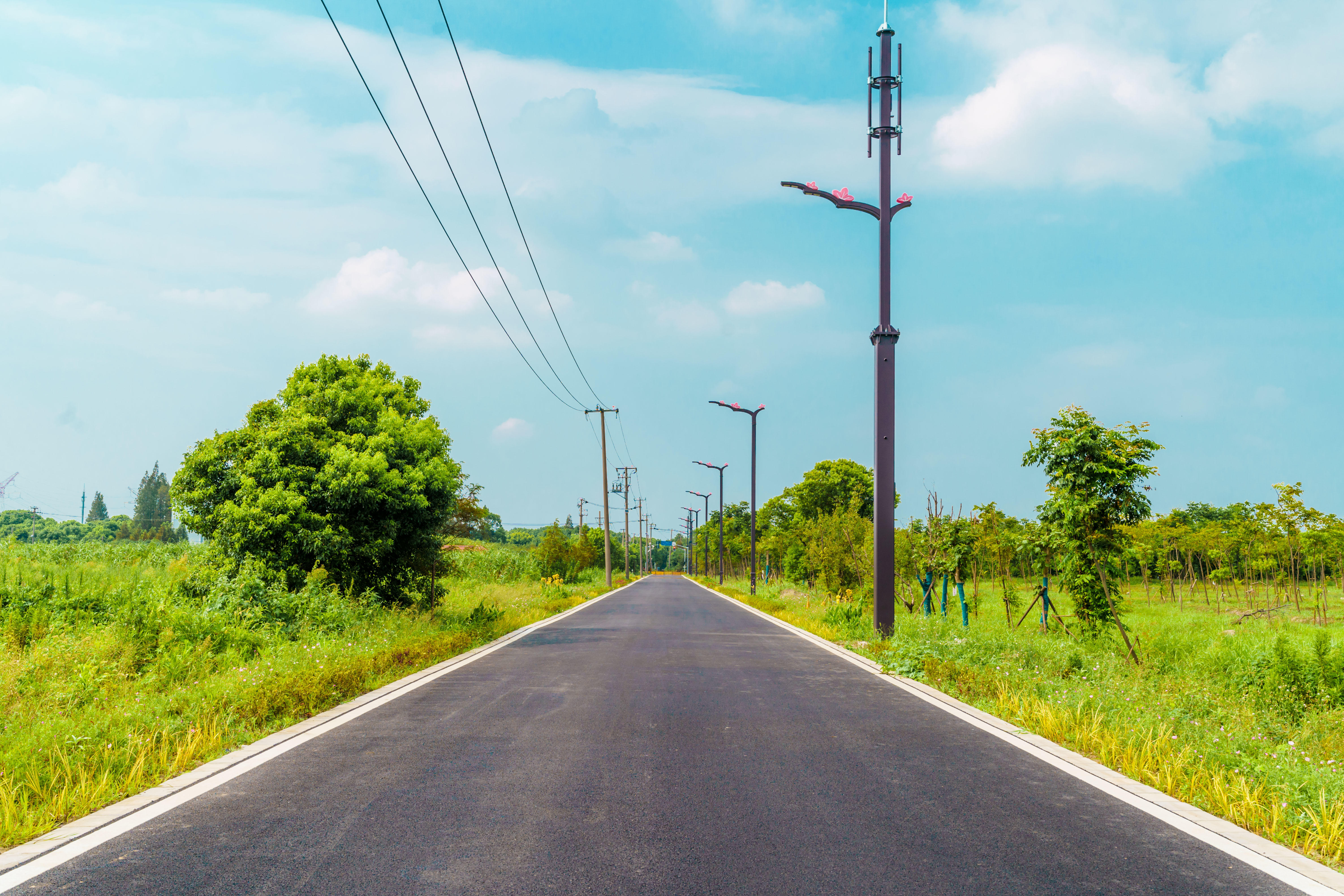 畅通道路毛细血管 "四好农村路"助力奉贤乡村振兴