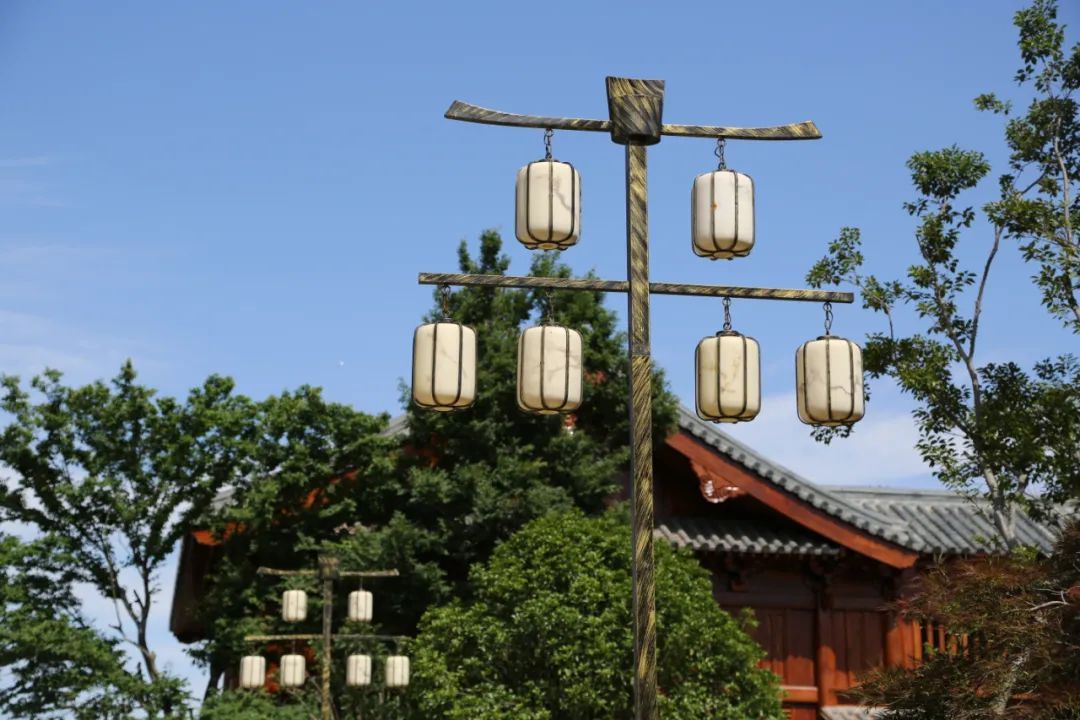 你好,花博 | 电视剧《知否》中的场景,竟出现在了崇明