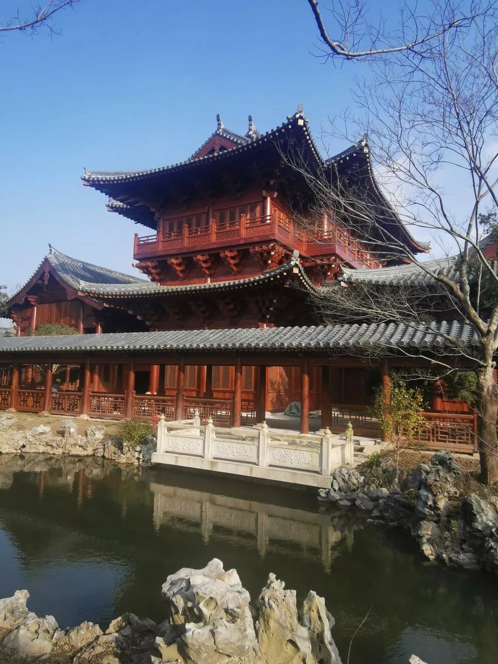 你好,花博 | 电视剧《知否》中的场景,竟出现在了崇明