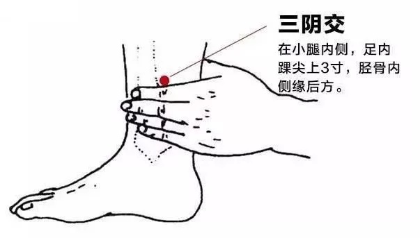 足三里内关合谷图片