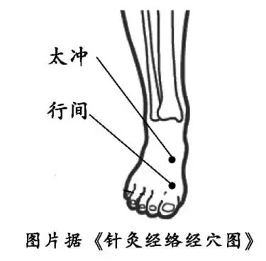 开春如何养生?抓住这5个关键词,你的身体会感激你