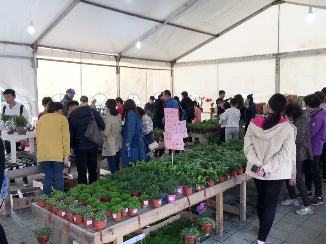 21上海 国际 花展即将开幕 互动体验感增强