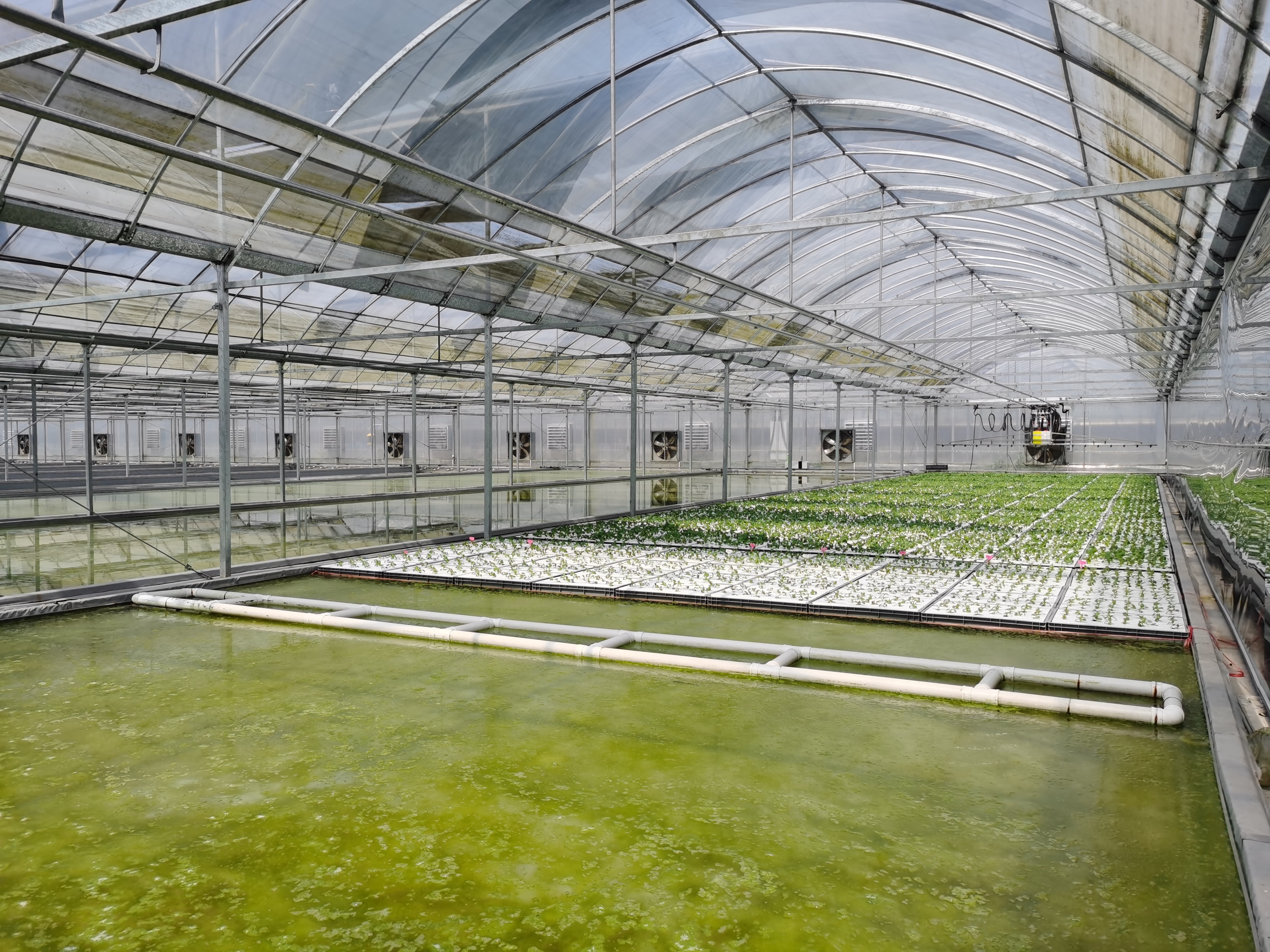 【松江观察】智慧农业,无人农场,数字智治……科技赋能的春风给浦南