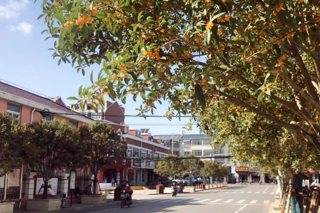 老港镇中港街区