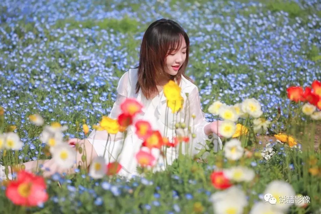 辰山植物园出教程了~花海打卡照这样拍,超!级!美!