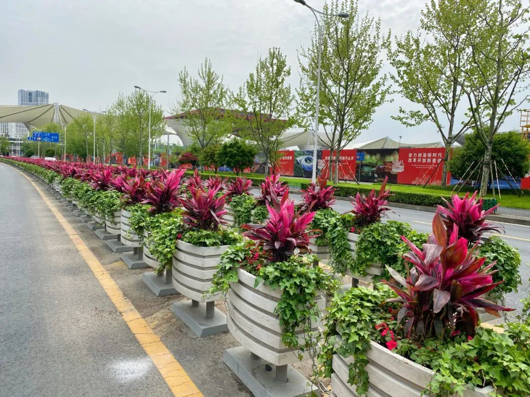 鲜花为笔,画出"五一"花瀑!浦东这些地标变"花境",个个出片!