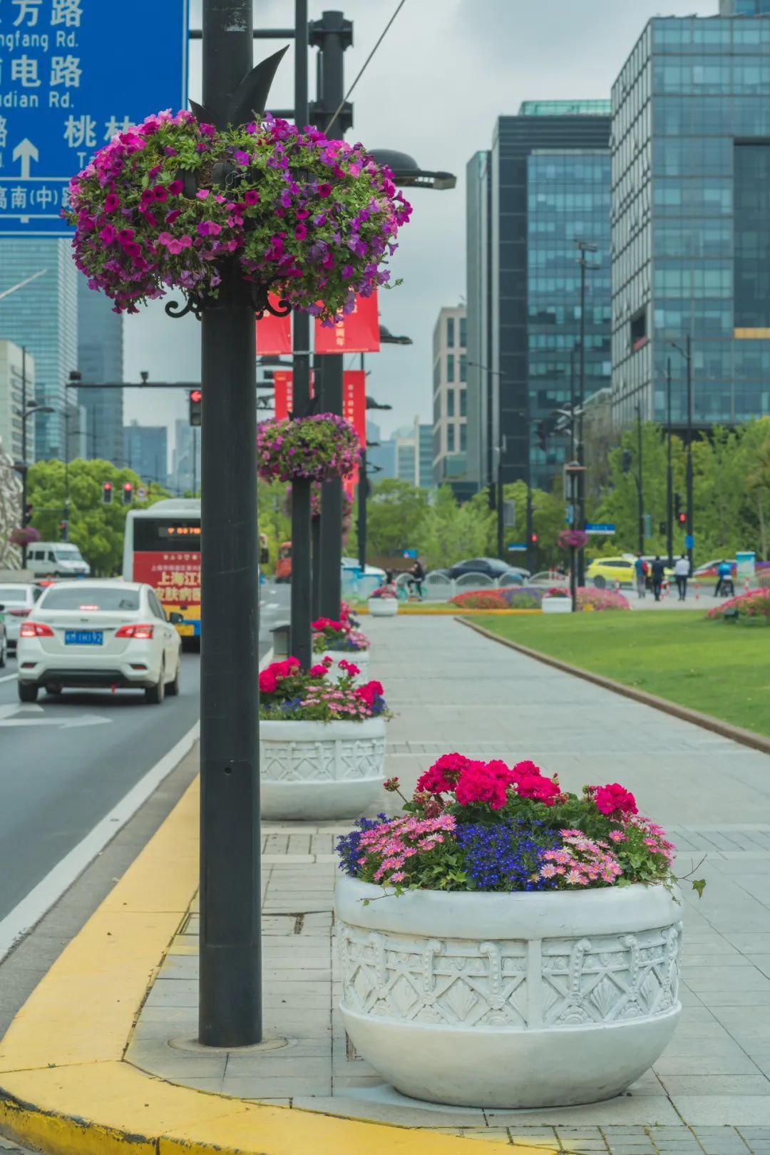 世纪广场灯杆挂花及花钵