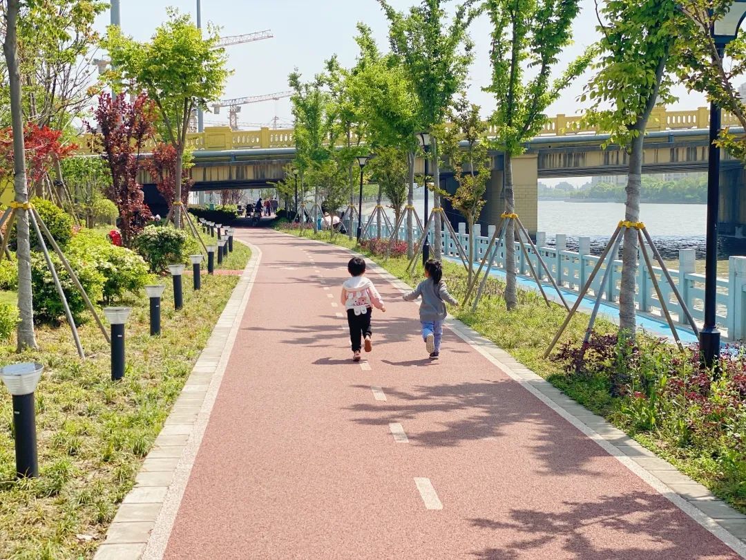 滨水步道,绚丽花海……松江这个颜值超高的绿地,走起