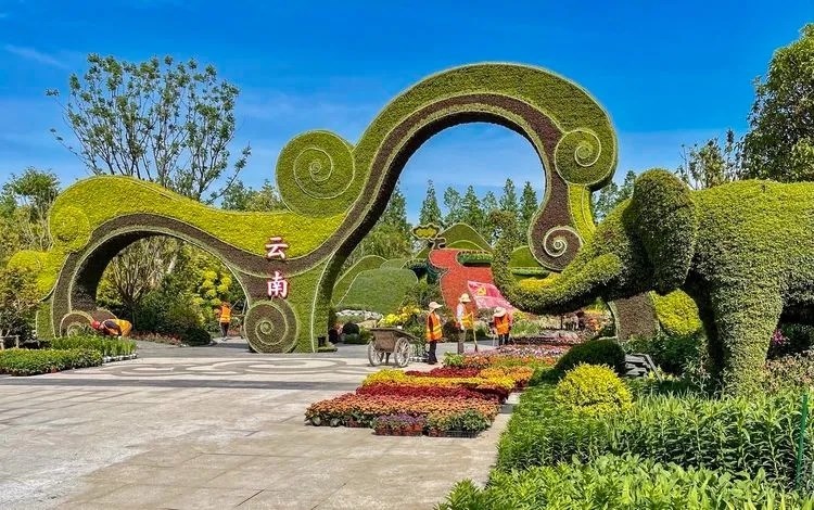 大量美图曝光,带你看不一样的花博园