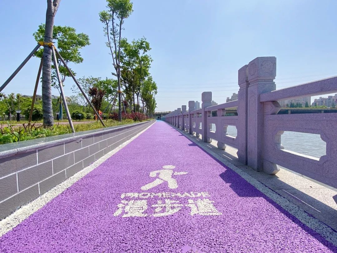 滨水步道,绚丽花海……松江这个颜值超高的绿地,走起