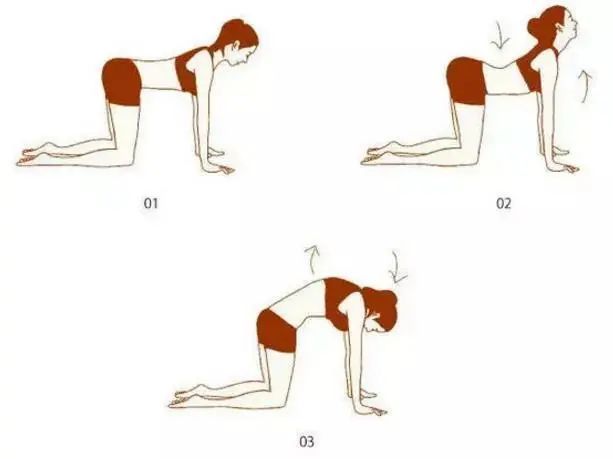 接着臀部用力,慢慢抬起脚跟再放下 平躺后让双脚分开,与肩同宽,弯曲立