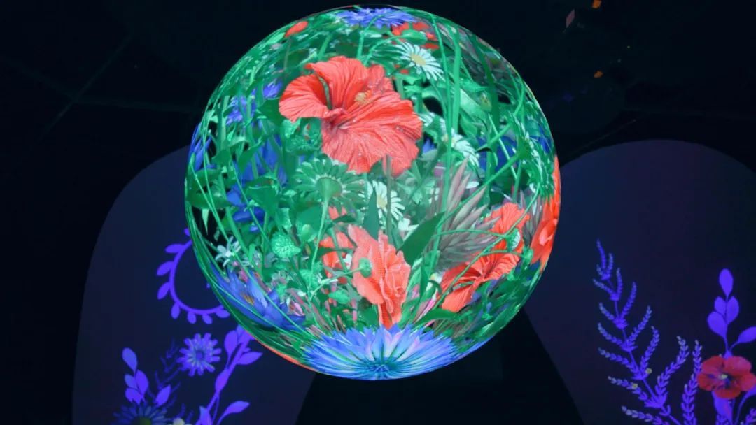 花博园里这个没有实体花卉的虚拟艺术展，究竟有多美妙？