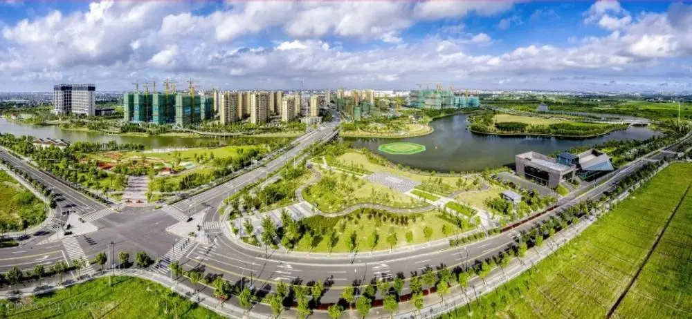 重磅!又有5个项目落户金山!