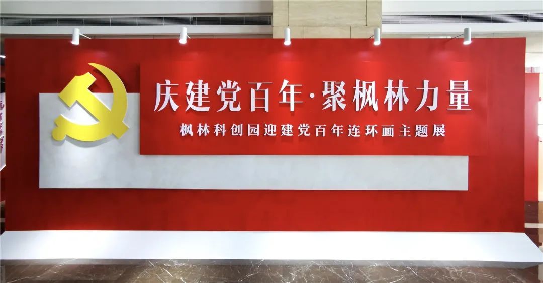 枫林科创园:党建引领新风尚,青年奏响最强音