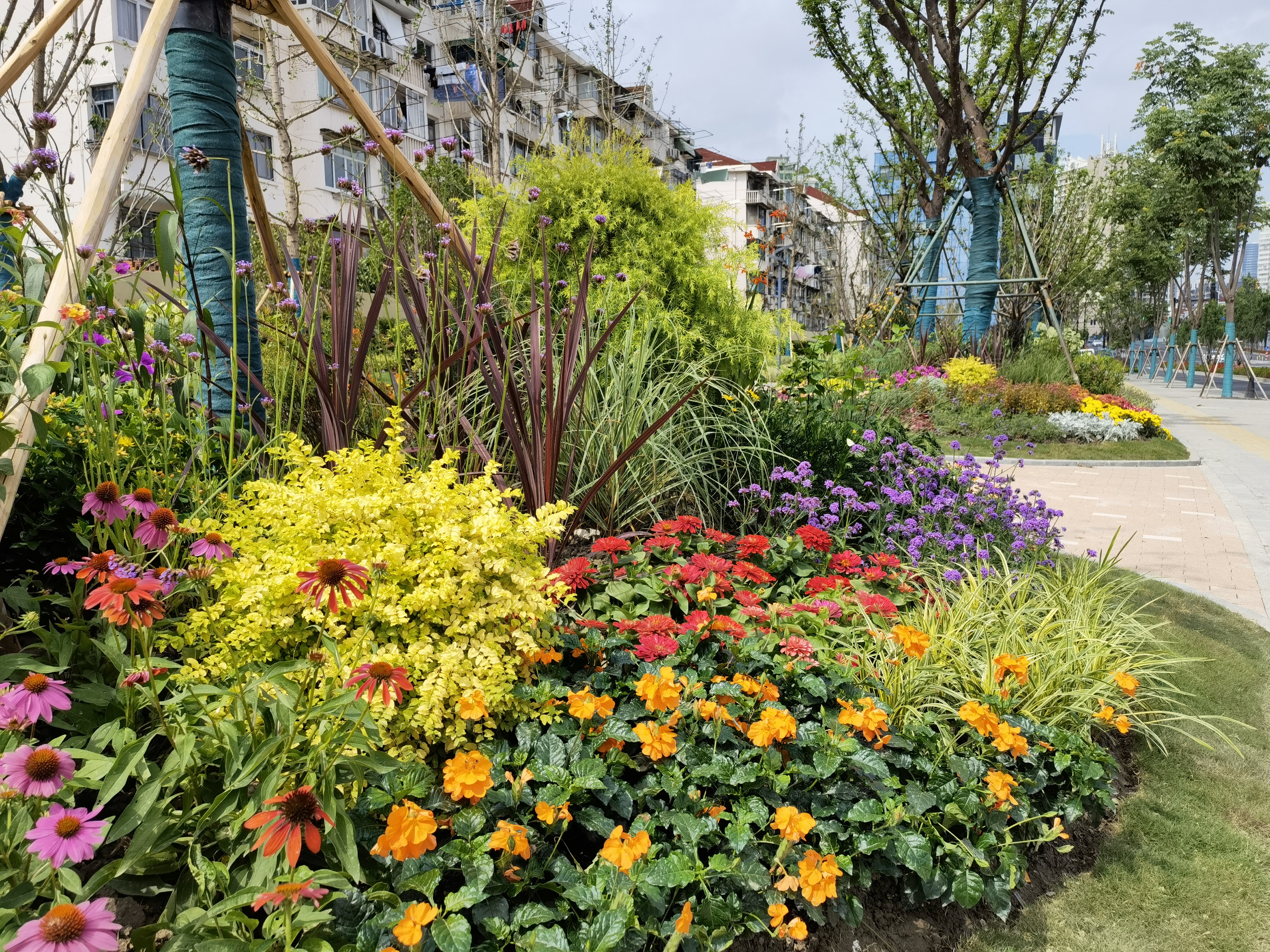 夏花绚烂,静安新添一处"街心花园"