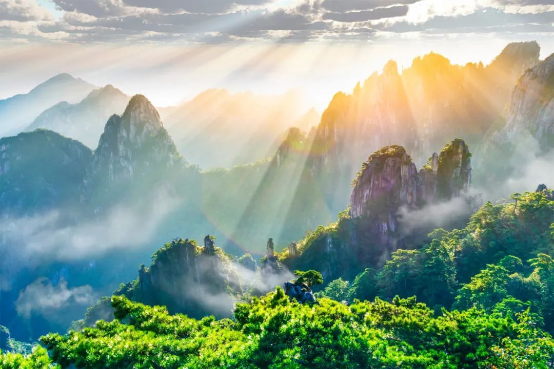 告诉你什么叫聚长三角旅游资源之精华!