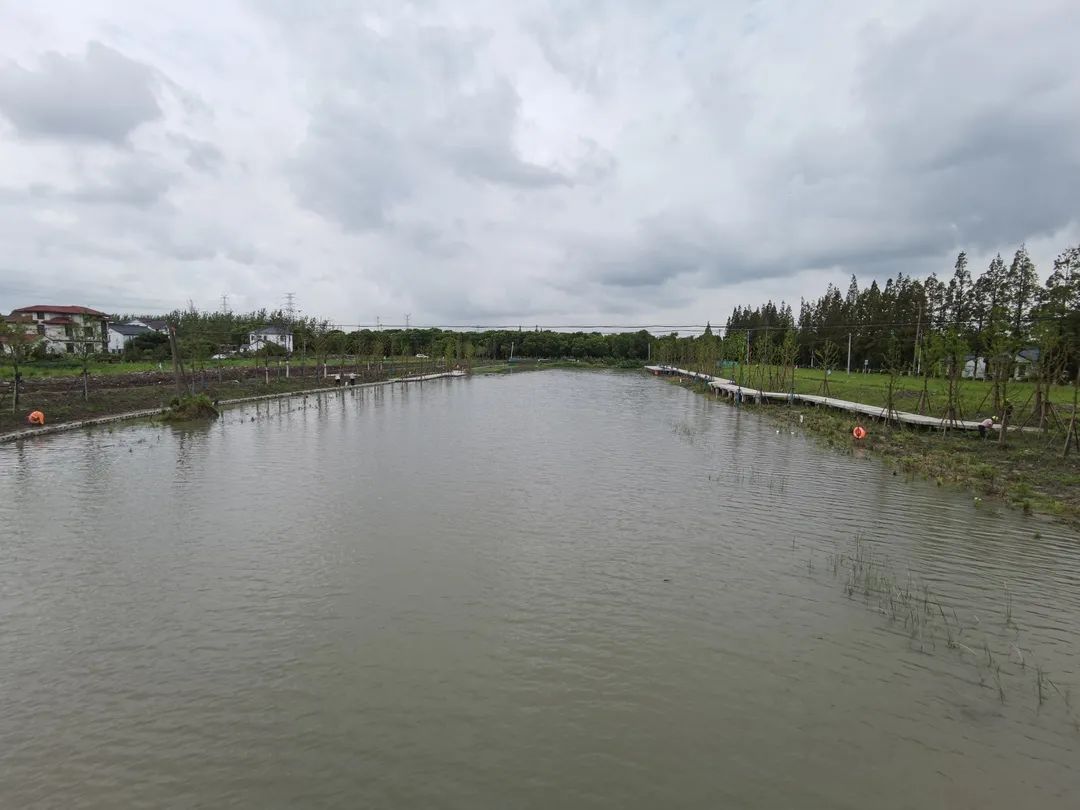 近年來,青浦區大力推進水環境綜合治理,將重點圍繞太湖流域,骨幹河道