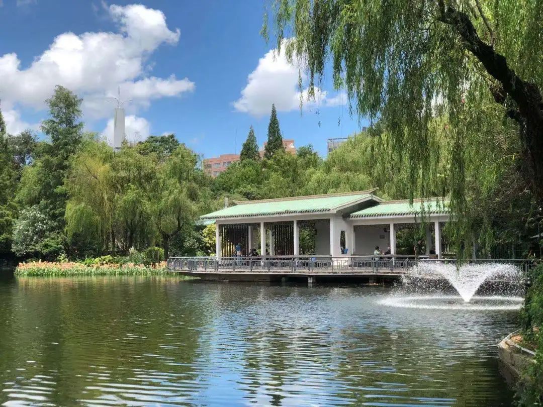 鲁迅公园水体治理工程完工啦,水体自净能力增强